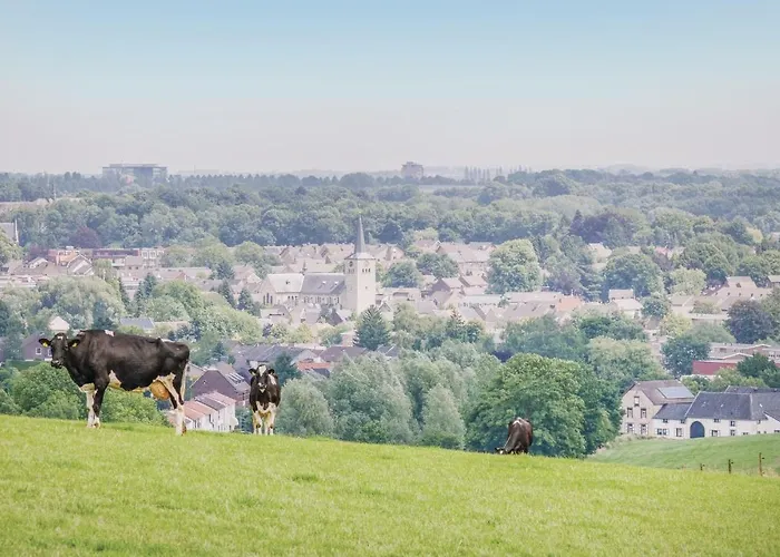 Апартаменты Vakantiewoning 3 Симпелвелд